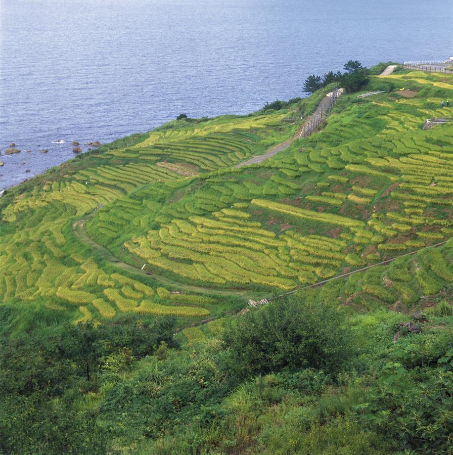 Castle Manai Hotel Anamizu Екстериор снимка
